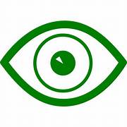 Vision Icon